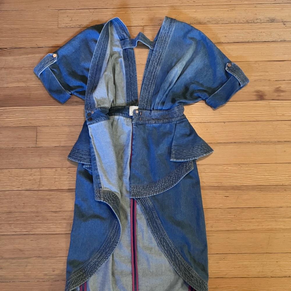 Johanna Ortiz Nuevo Mexicana Denim Trench Coat Dress Sz 4 - Picture 10 of 15